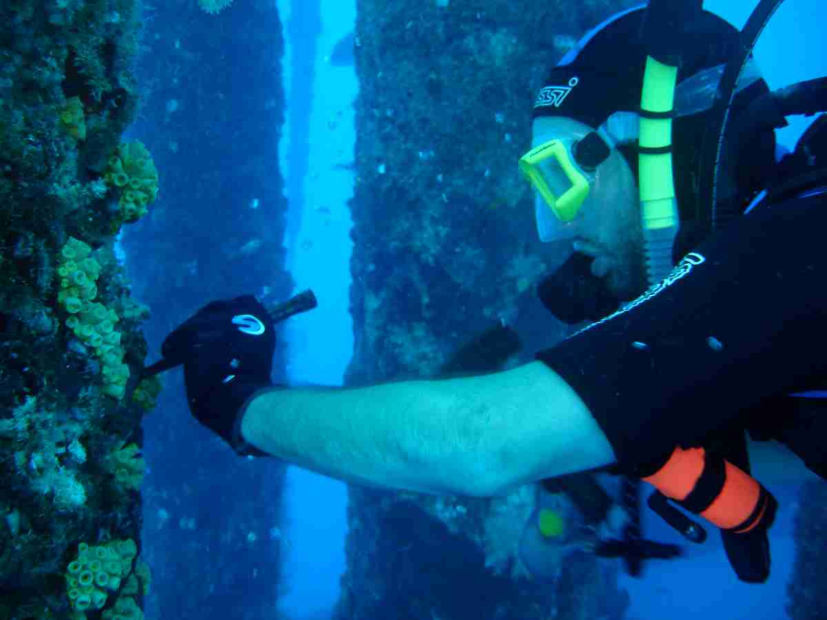 Taking samples underwater