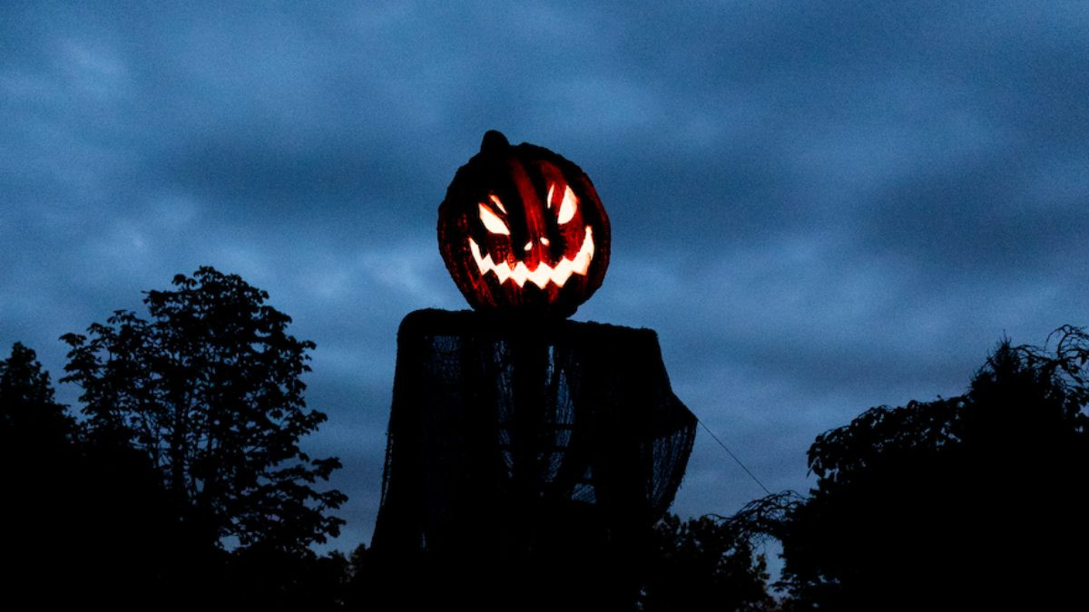 a lit up pumpkin lantern on top of a body at the haunted arboretum
