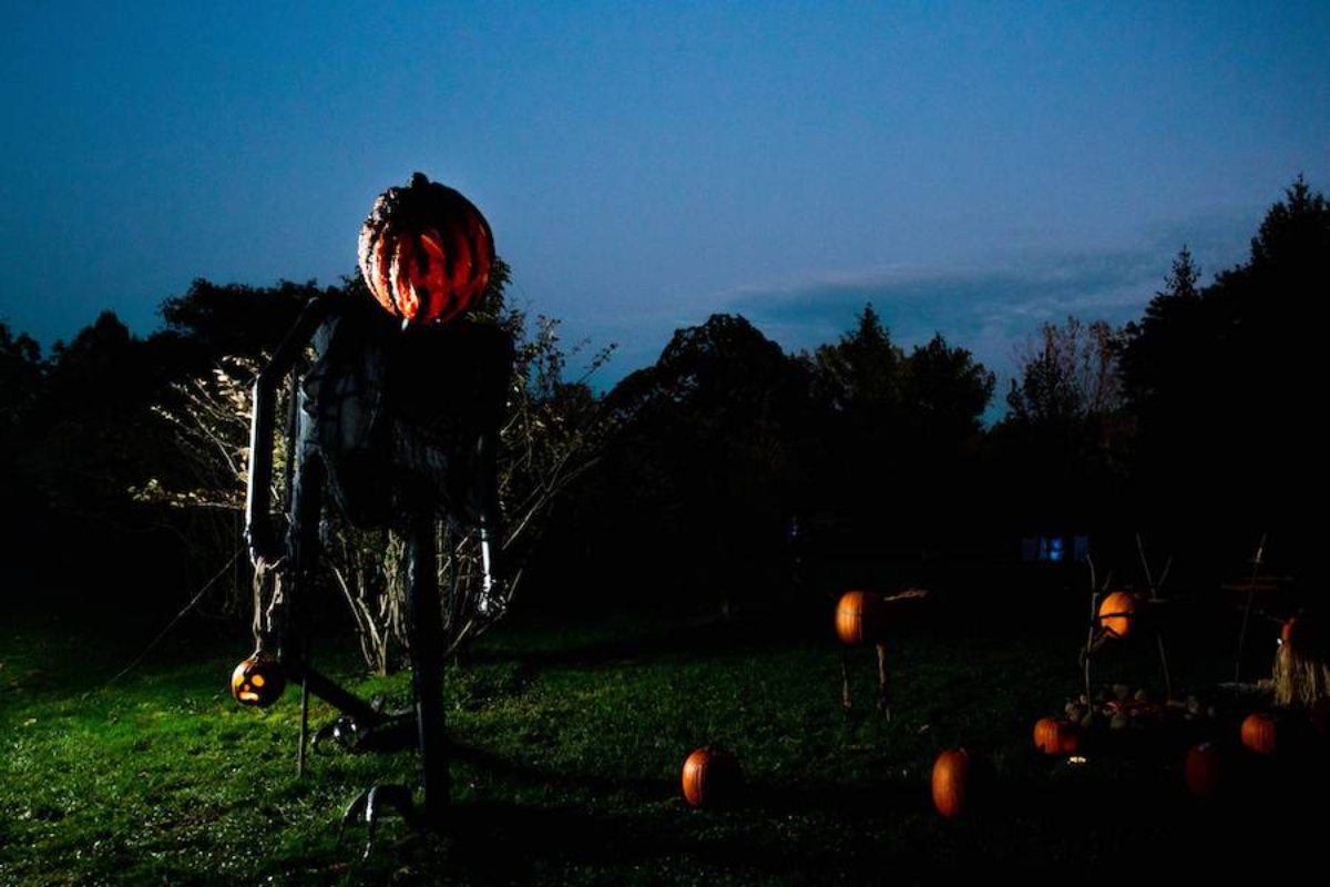 A picture taken of the pumpkin skeleton at the haunted arboretum