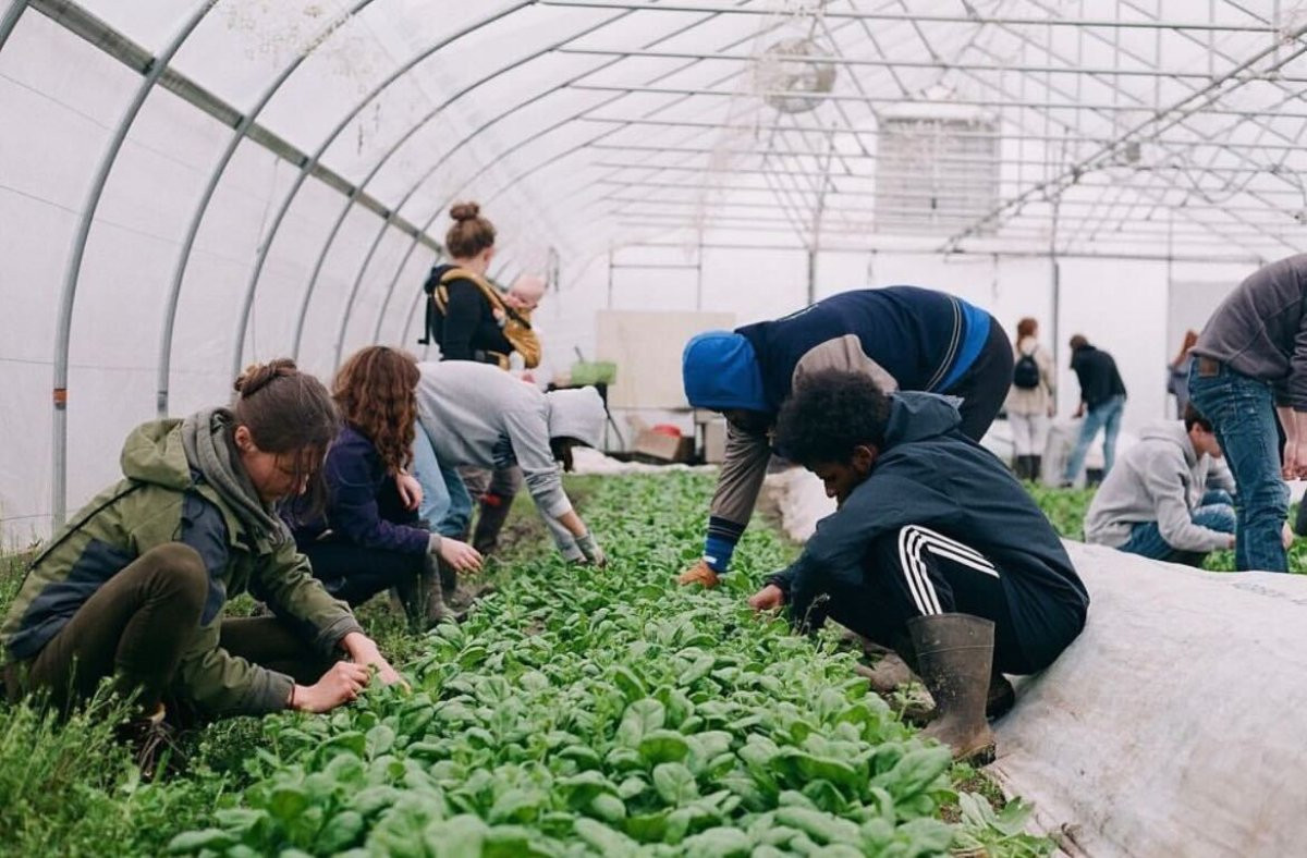 GVSU agriculture students working in the greenhouse