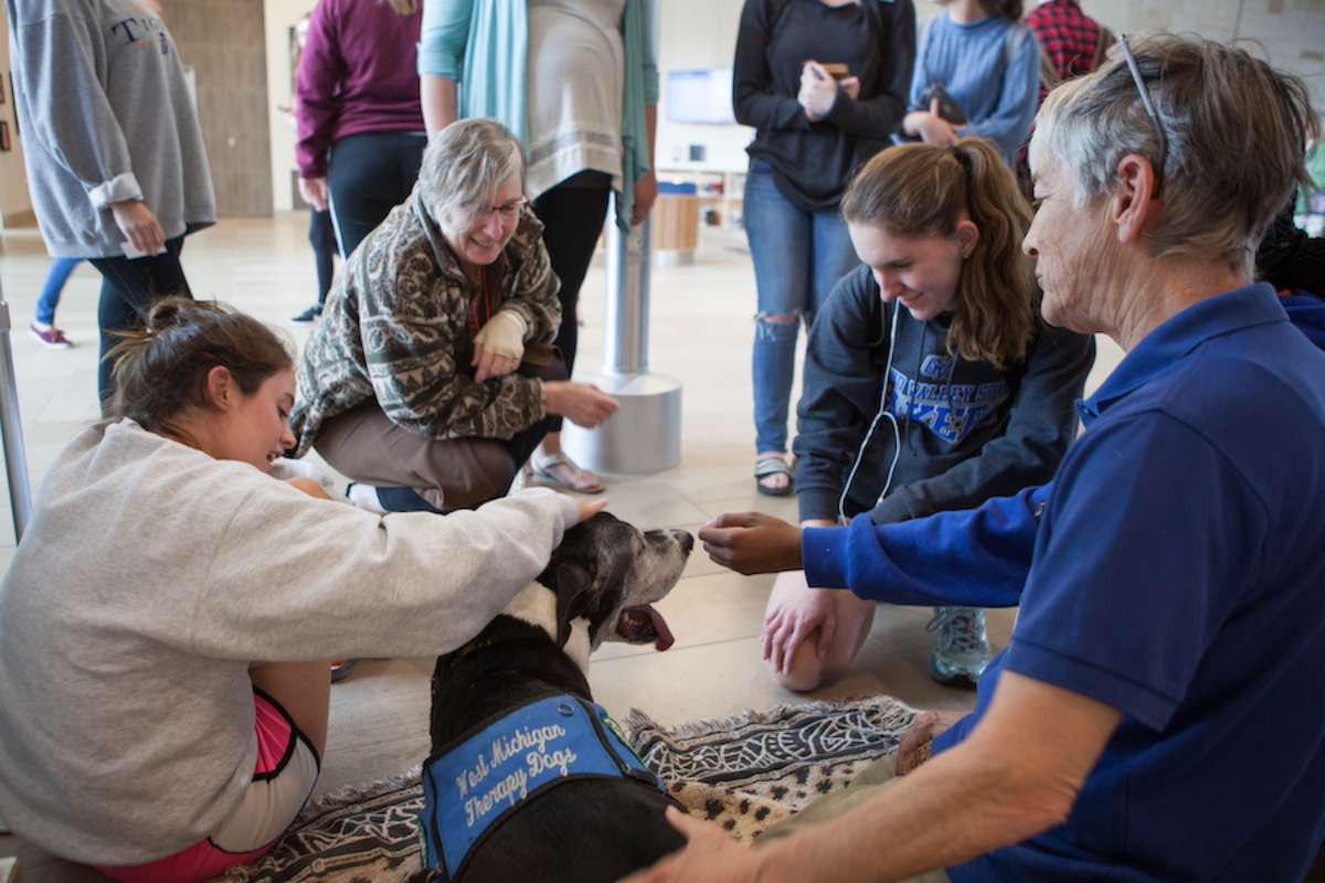 students petting a therapy dog in the library during exam cram