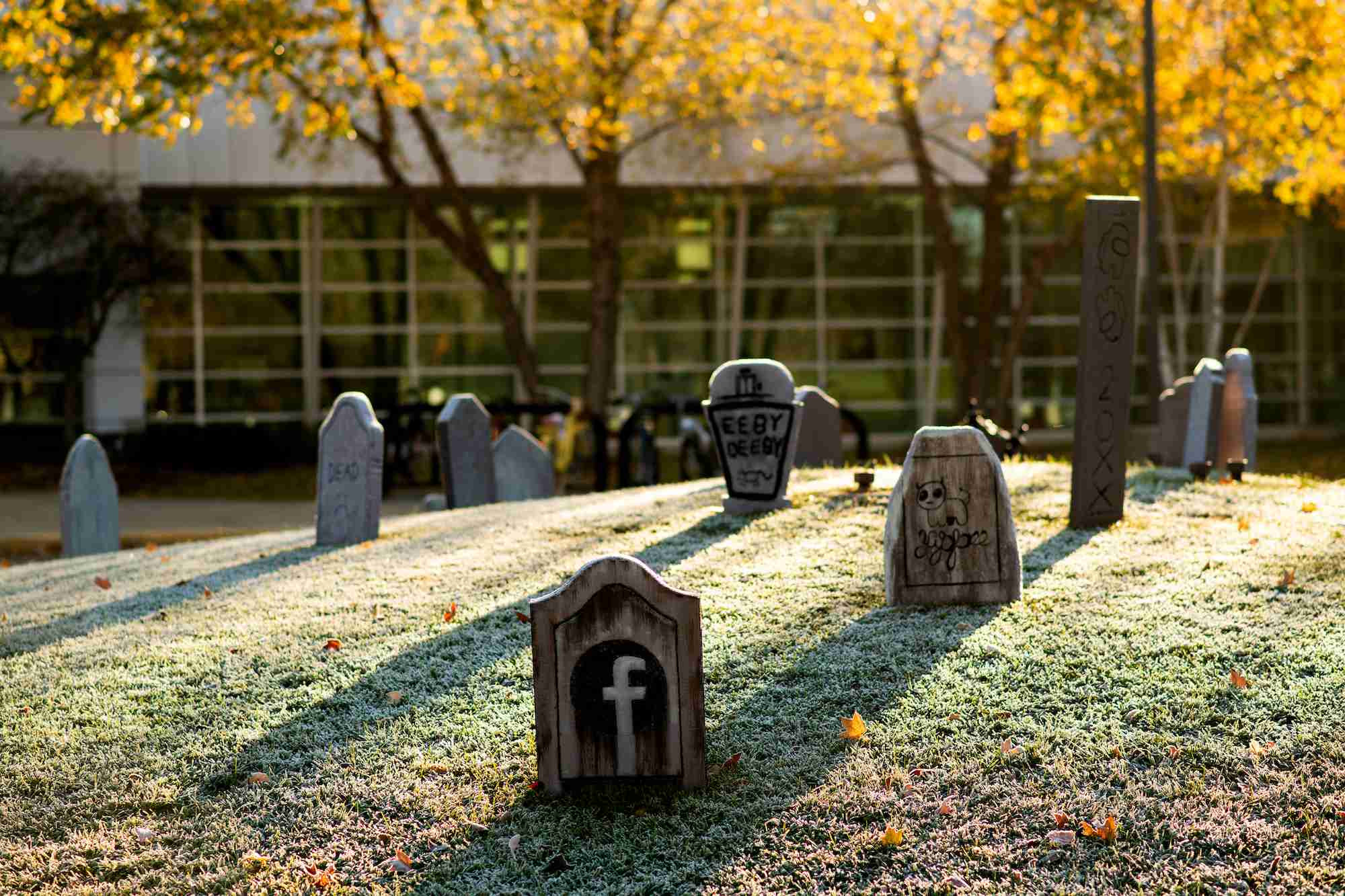 Froster grass with tomb stones on it 