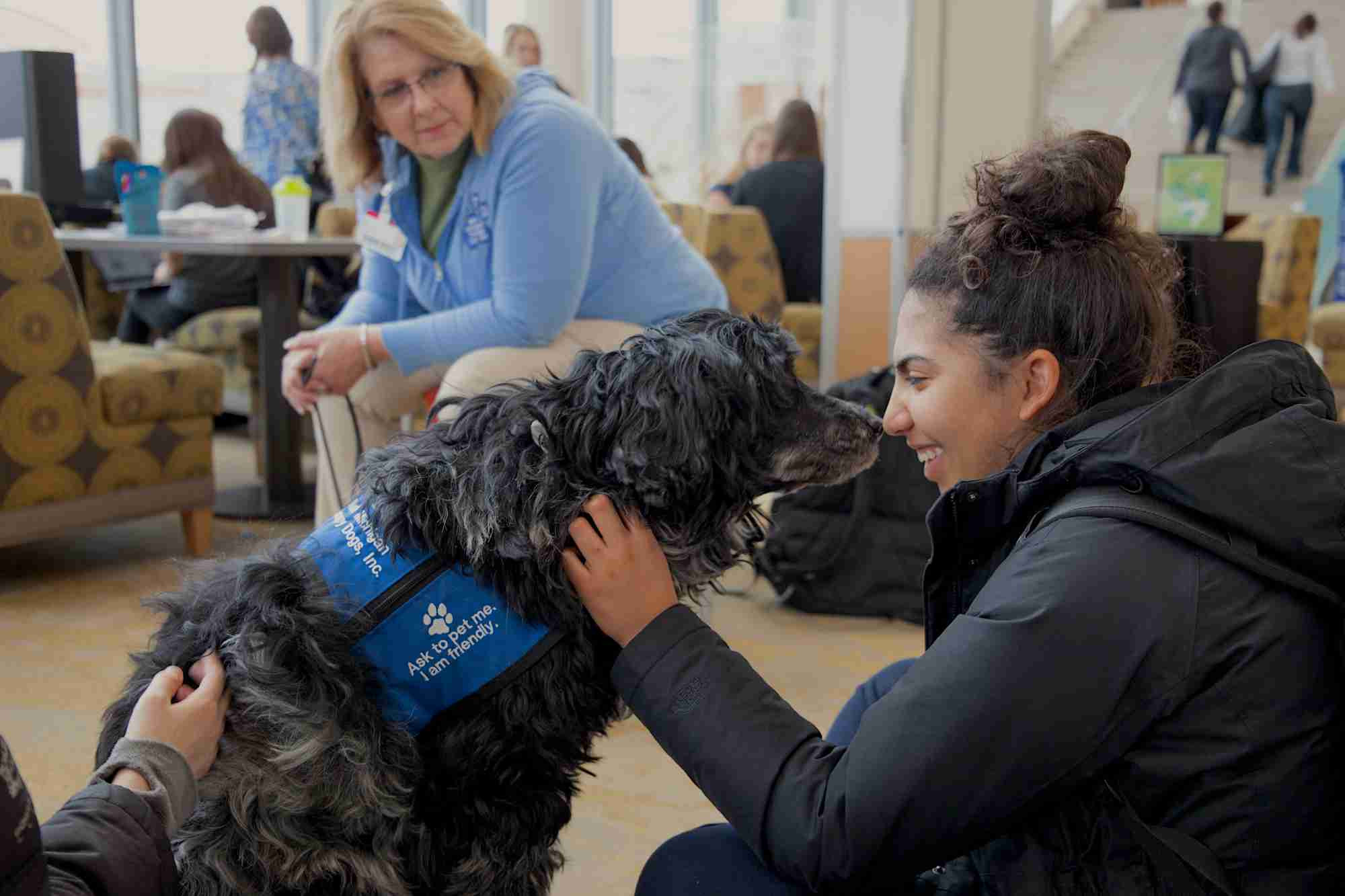 A person and a therapy dog touching noses while they pet him