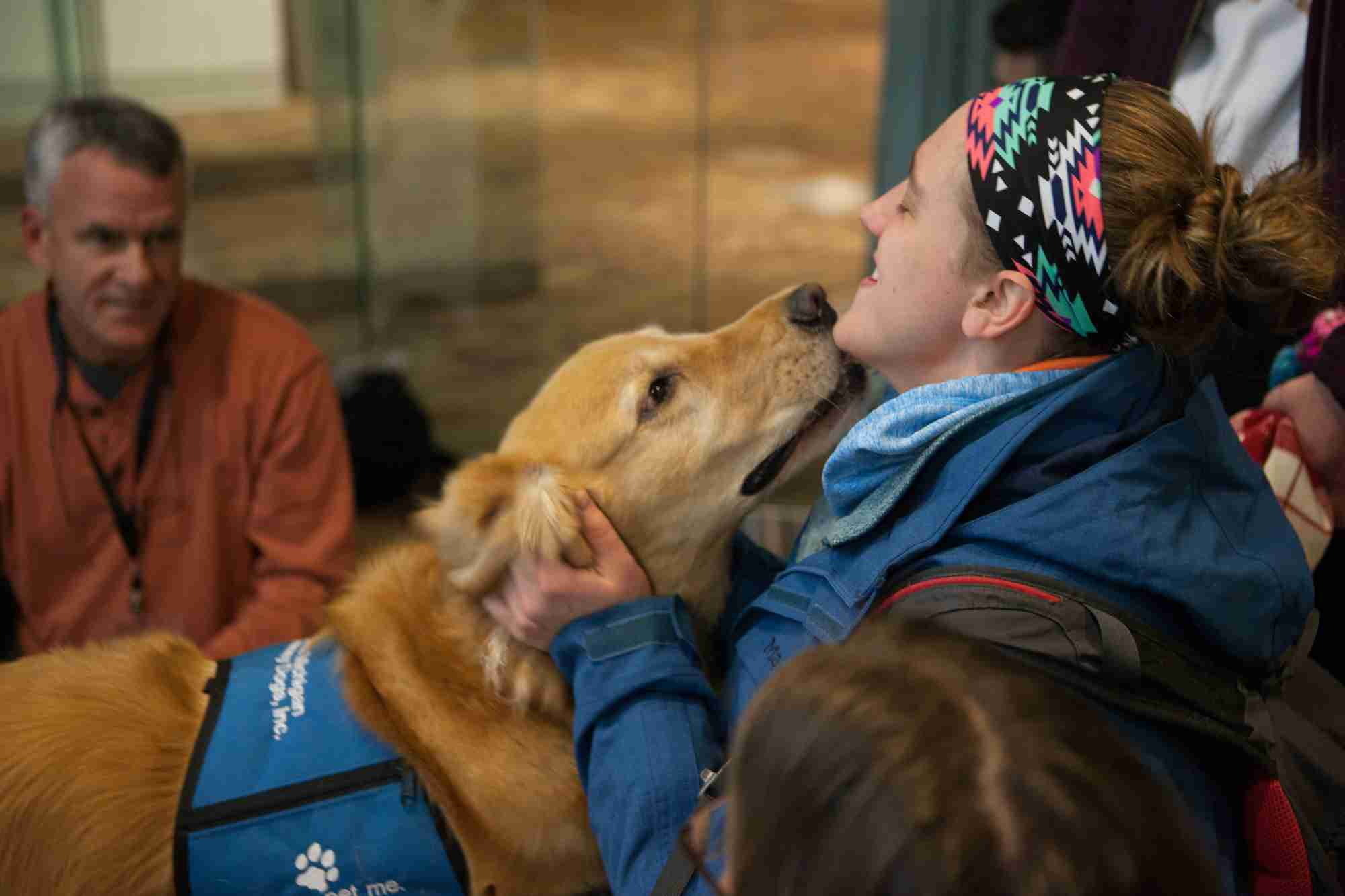 A golden retriever licking someone face 