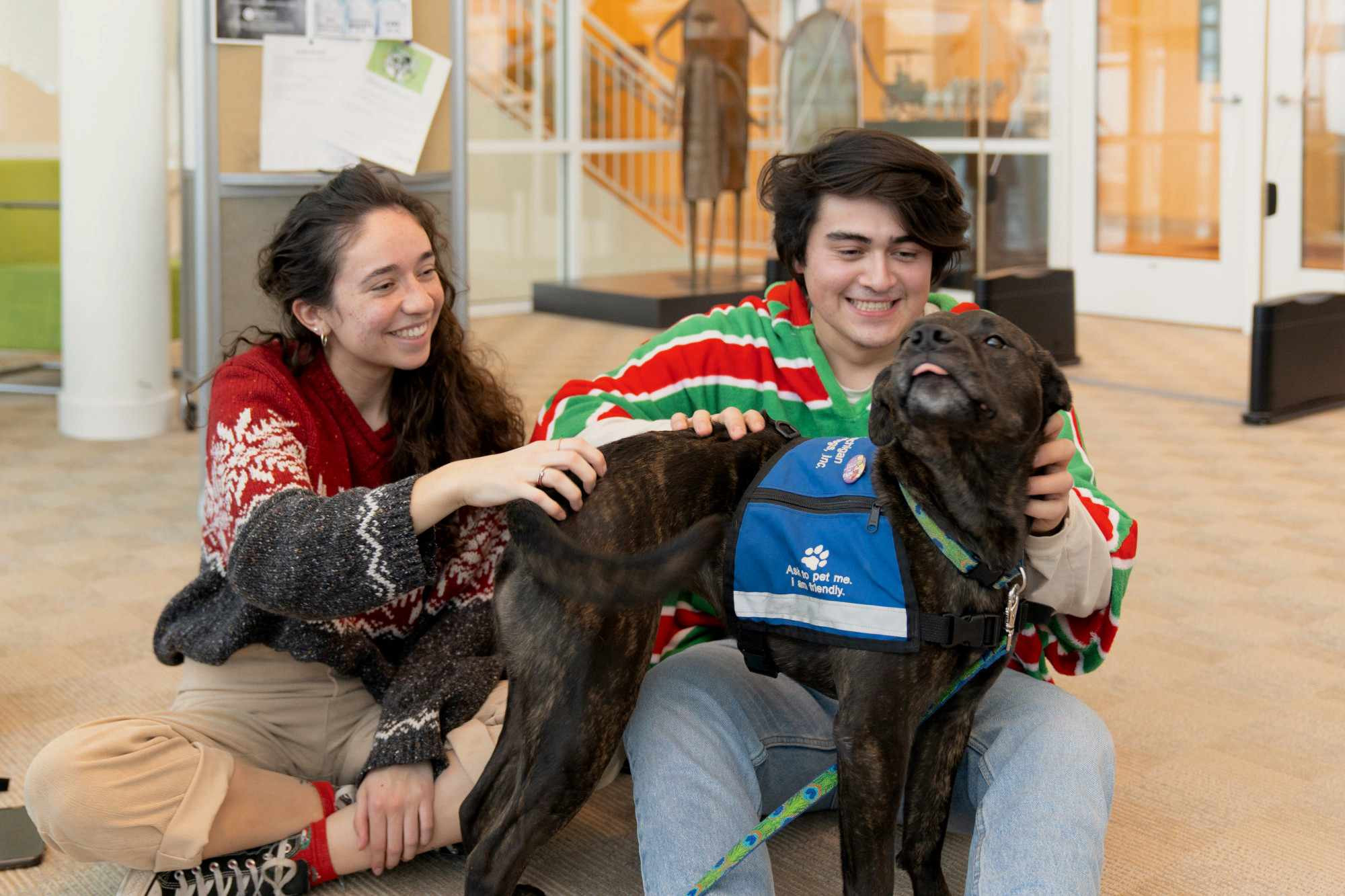 Two people in Christmas sweaters petting a dog 