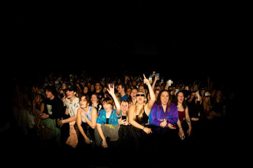 People singing in the crowd at a concert