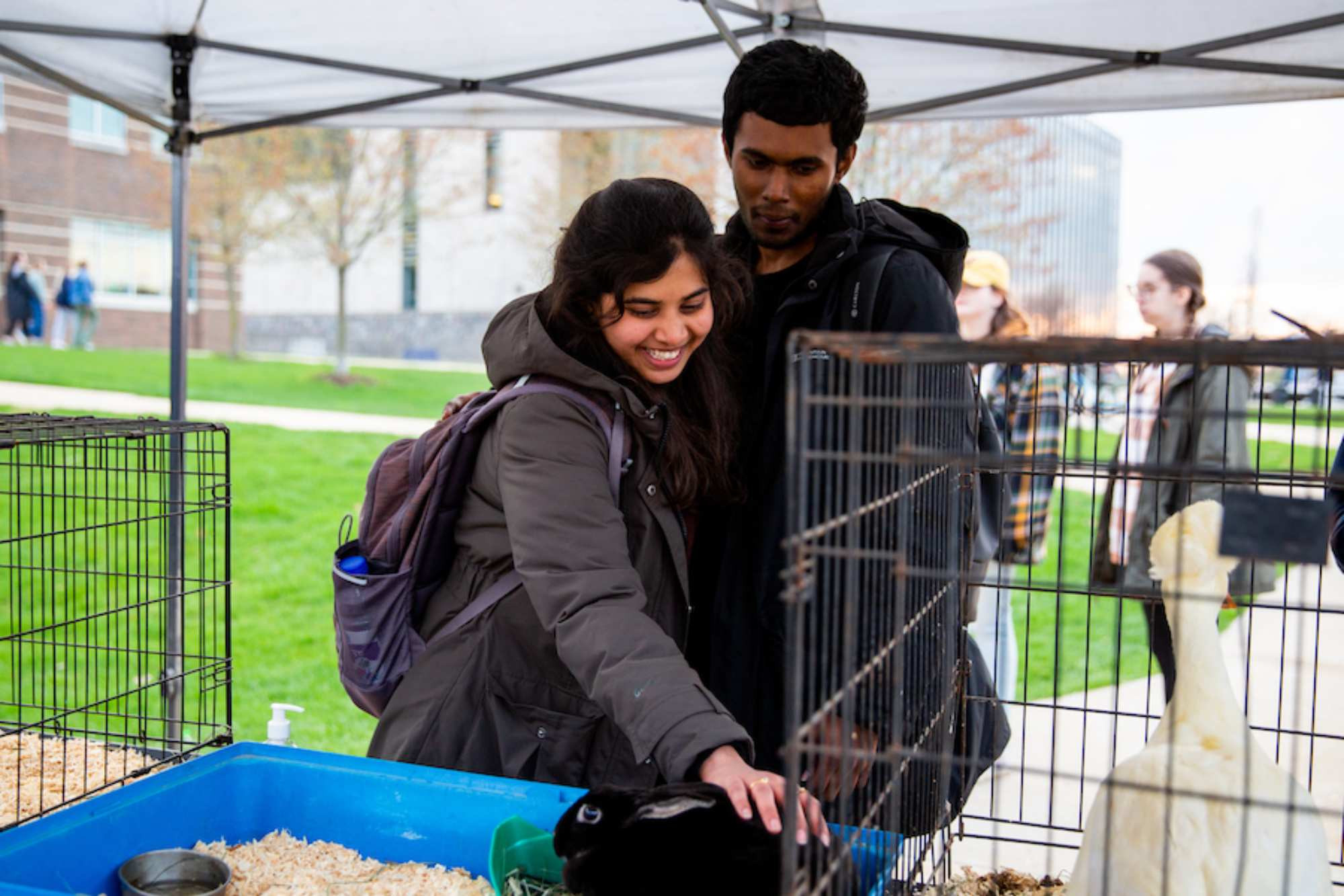 Students petting animals that are at the petting zoo for LakerPalooza